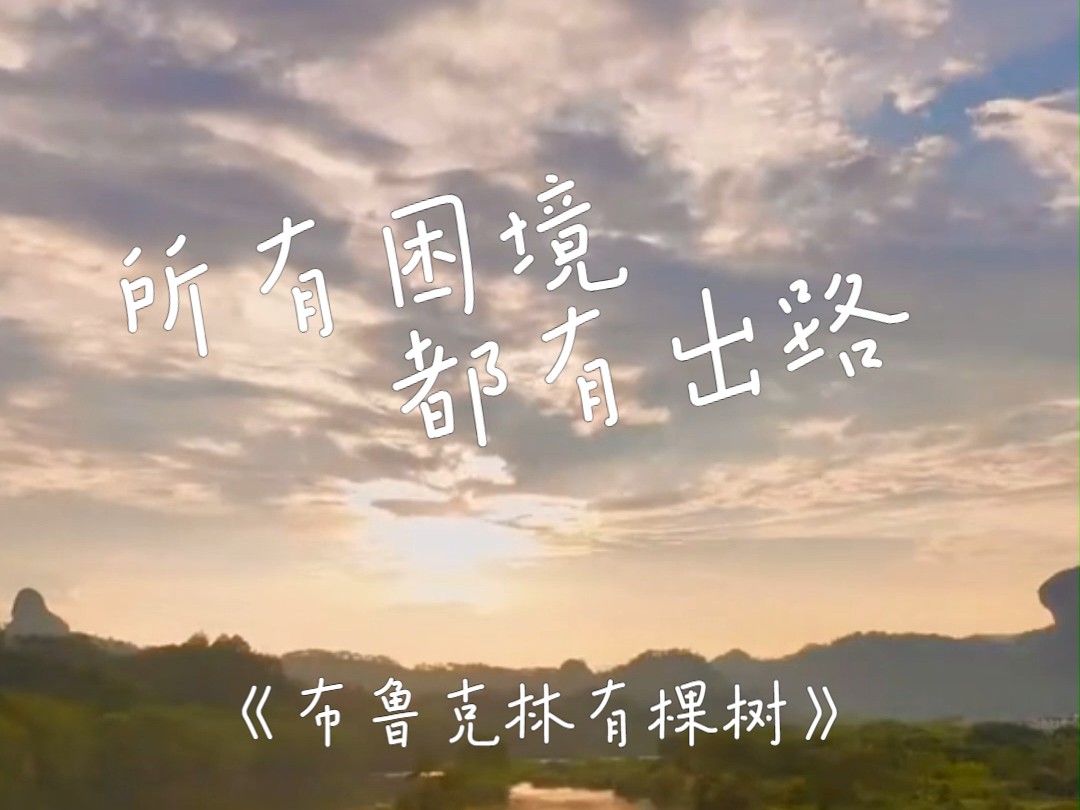 《布鲁克林有棵树》:所有困境,都有出路