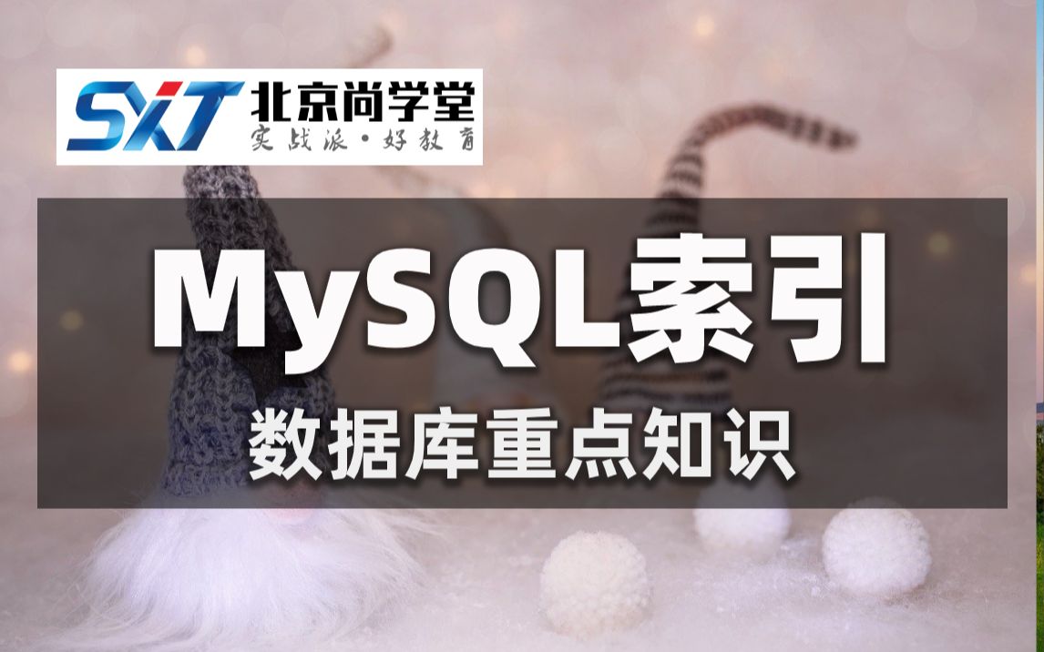 数据库MySQL索引对象SQL Server数据库对象SQL面试题讲解MySQL索引零基础到项目实战MySQL索引的使用事务的并发问题及其隔离级别哔哩哔...