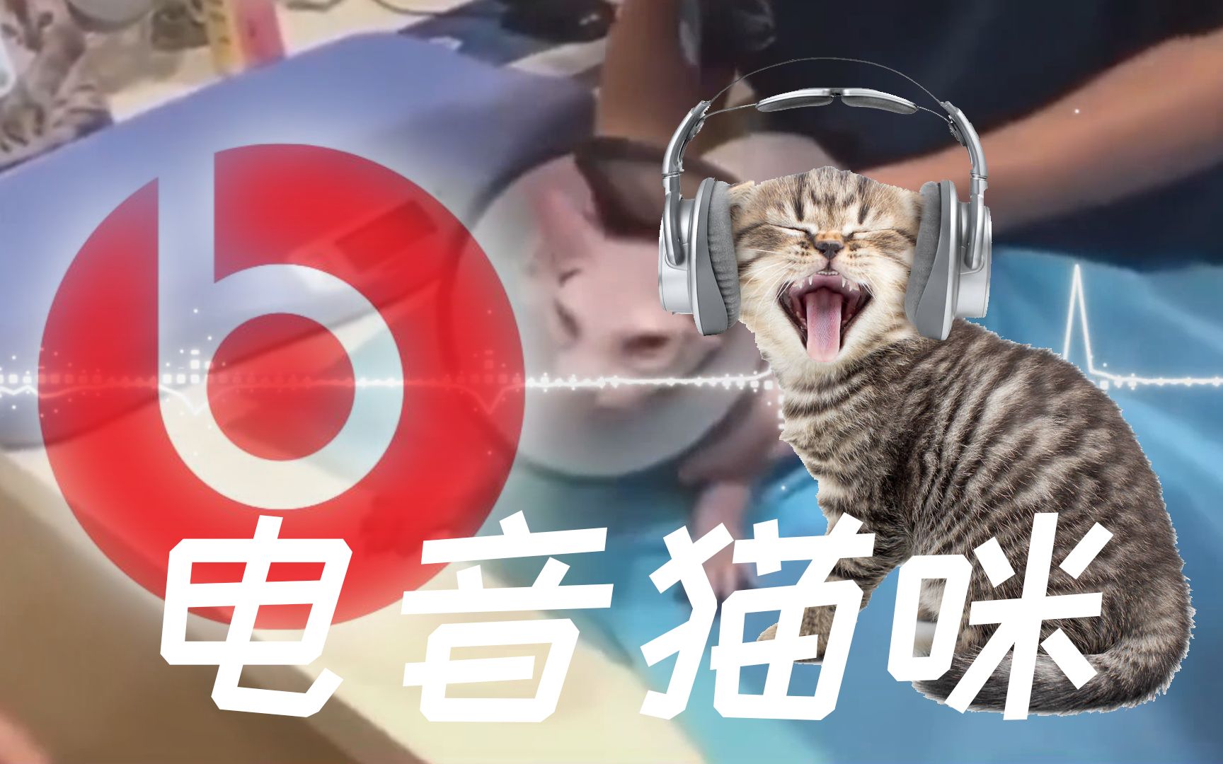 电音猫咪_哔哩哔哩 (゜-゜)つロ 干杯~-bilibili