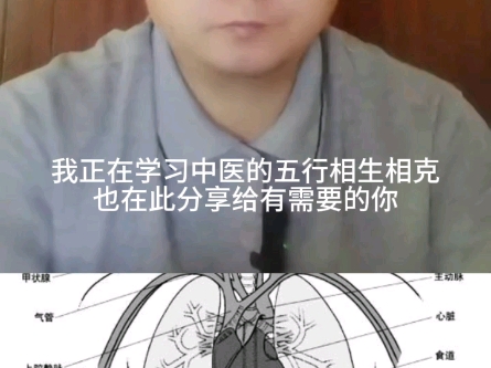 我正在学习中医的五行相生相克也在此分享给有需要的你哔哩哔哩bilibili