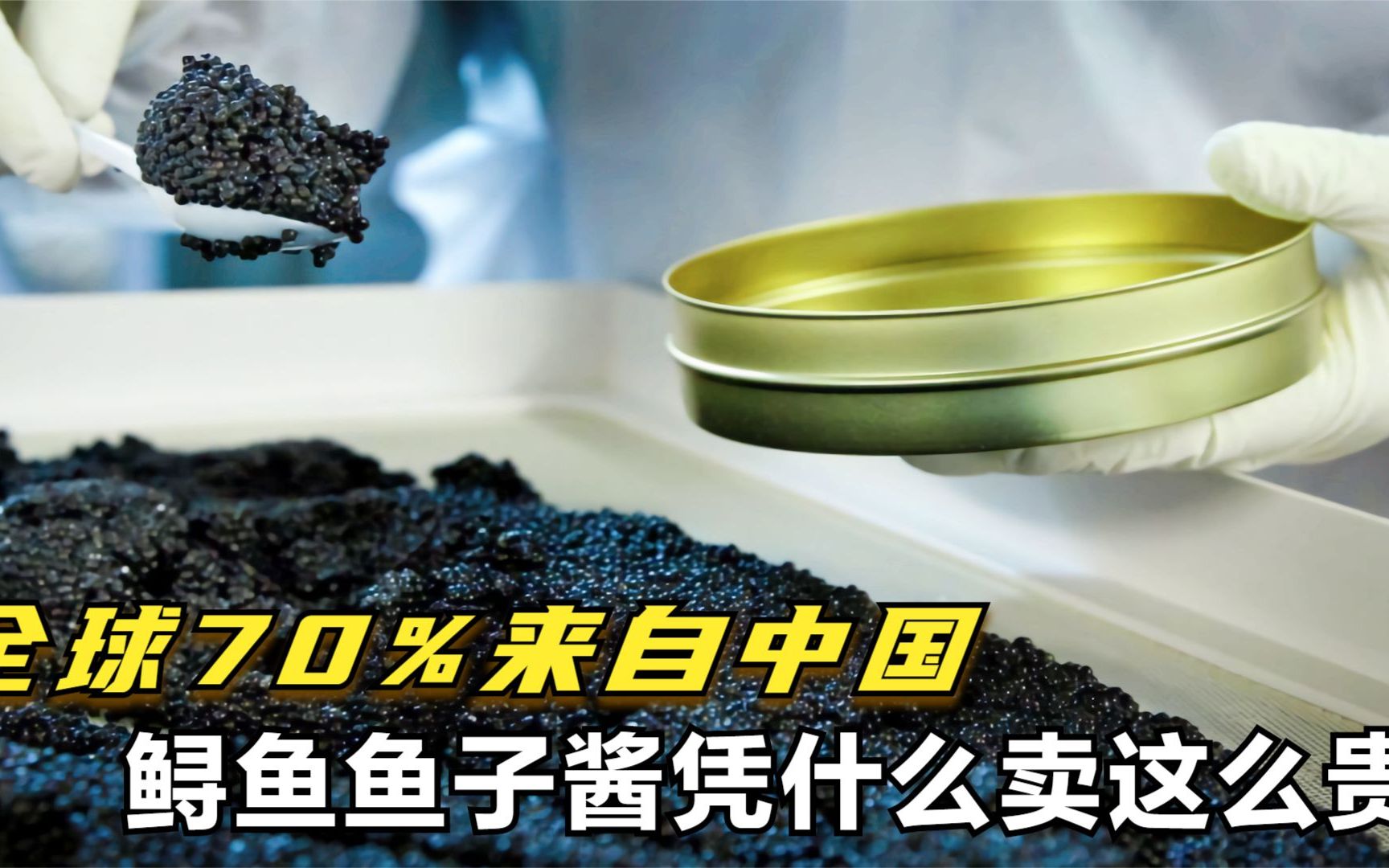 越来越抢手!全球70%来自中国!鲟鱼鱼子酱凭什么卖这么贵?哔哩哔哩bilibili