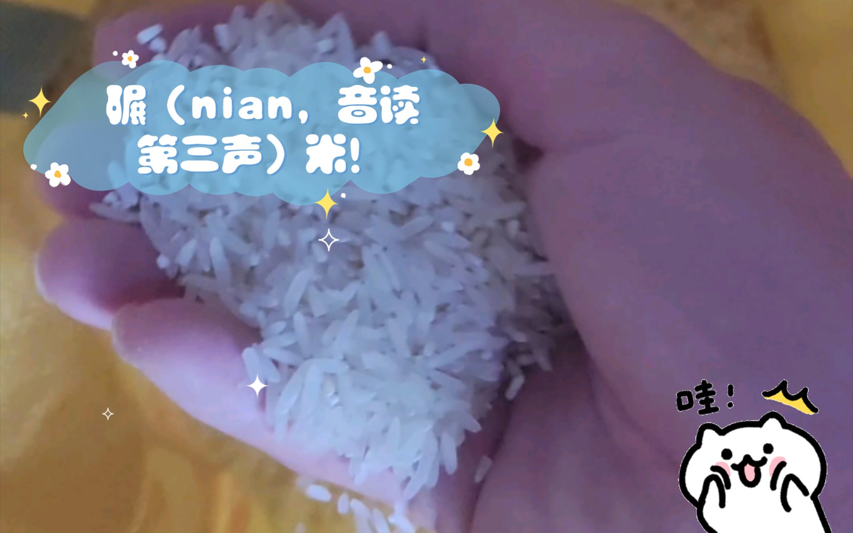 碾(nian,音读第三声)米!哔哩哔哩bilibili