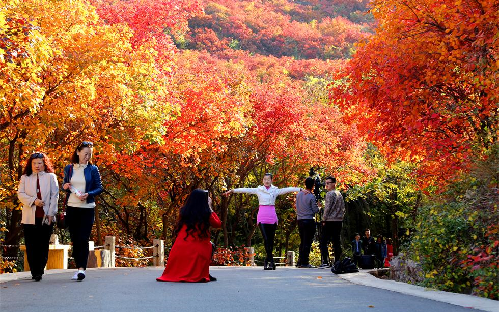 我在北京等你来,看香山红叶,游圆明园,愿你开心每一天_哔哩哔哩_bili