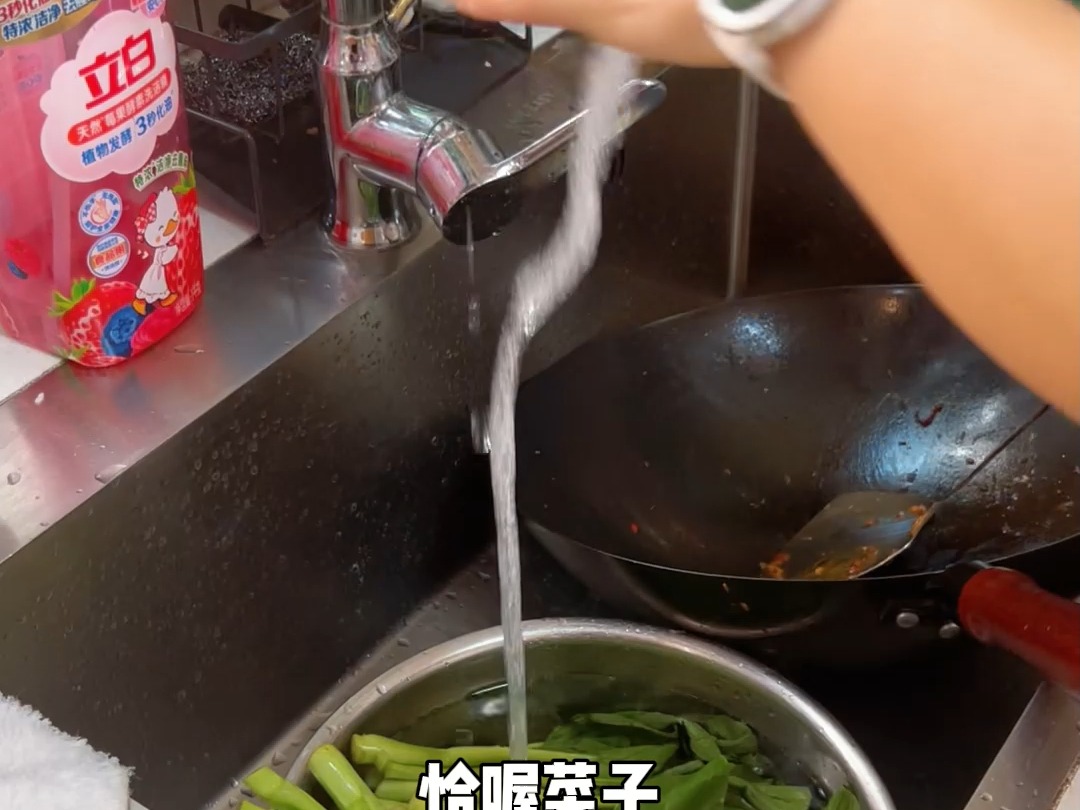 天天搞肉菜,今天就搞个喔菜子解解腻哔哩哔哩bilibili