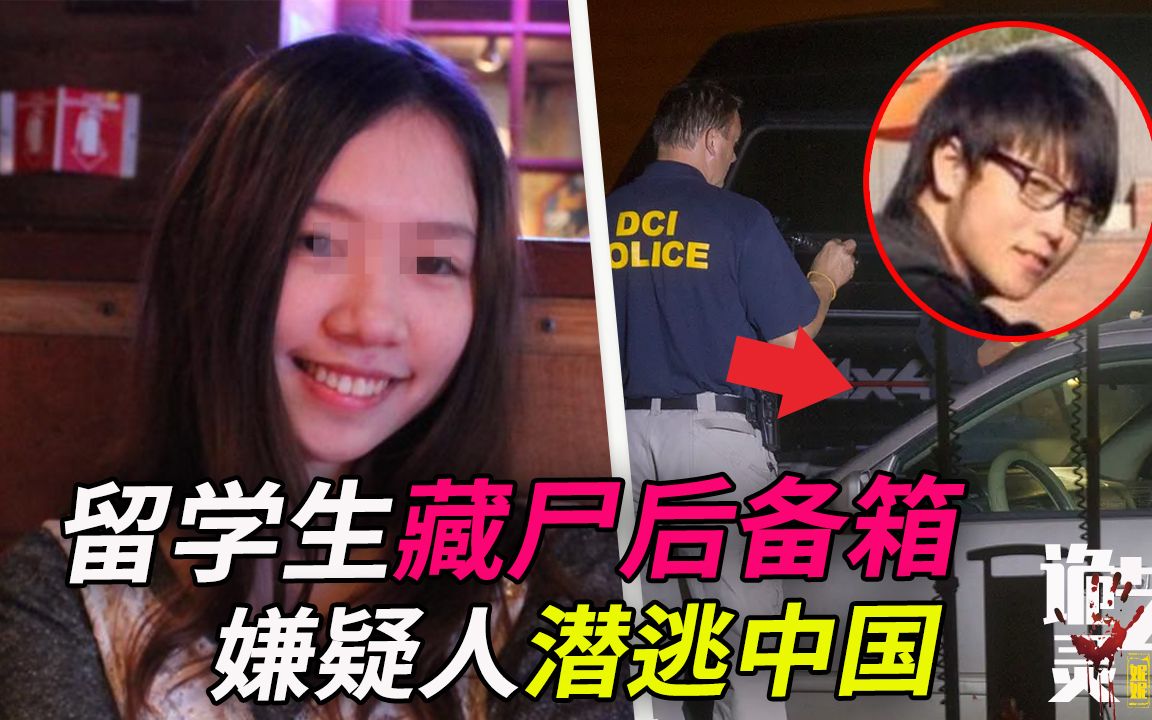 案件|越洋追求女神,却被告知只能做“周末情人”~温州小伙犯案后彻底消失【诡灵艺案件调查局】哔哩哔哩bilibili