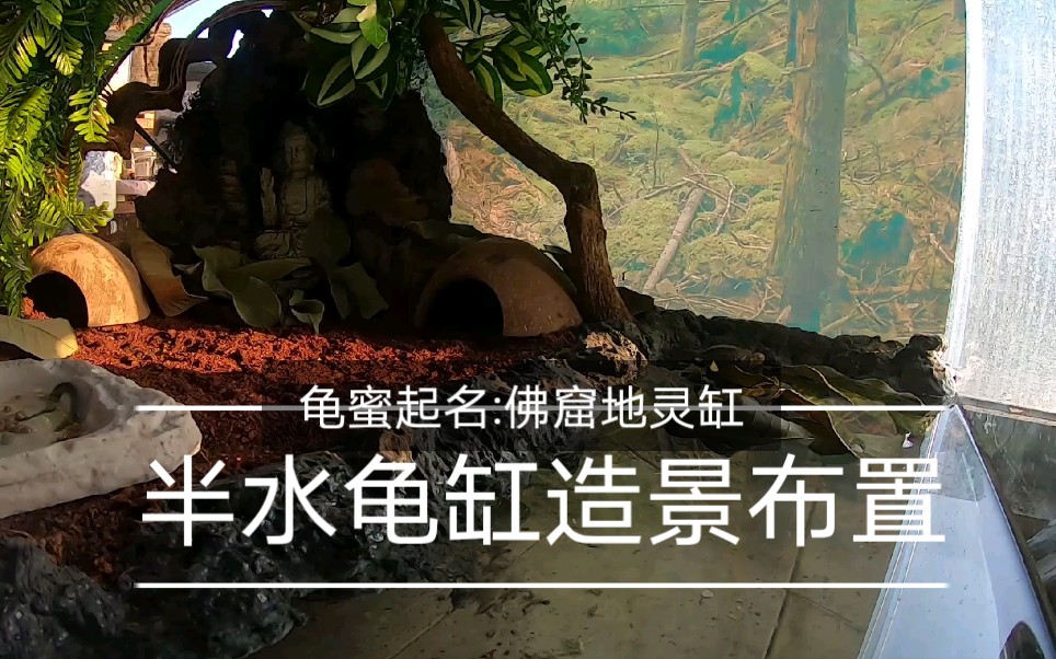 半水龟缸造景布置感谢龟蜜兄弟贤成寒赐名佛窟地灵缸