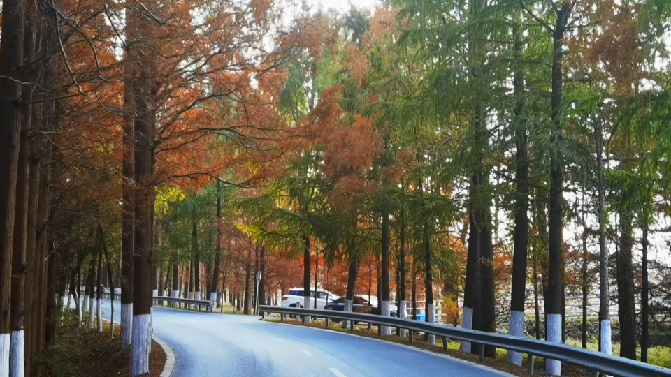 [图]最美的风景在路上之塘下公路