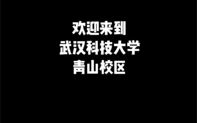 [图]我眼中的青山校区（武汉科技大学)