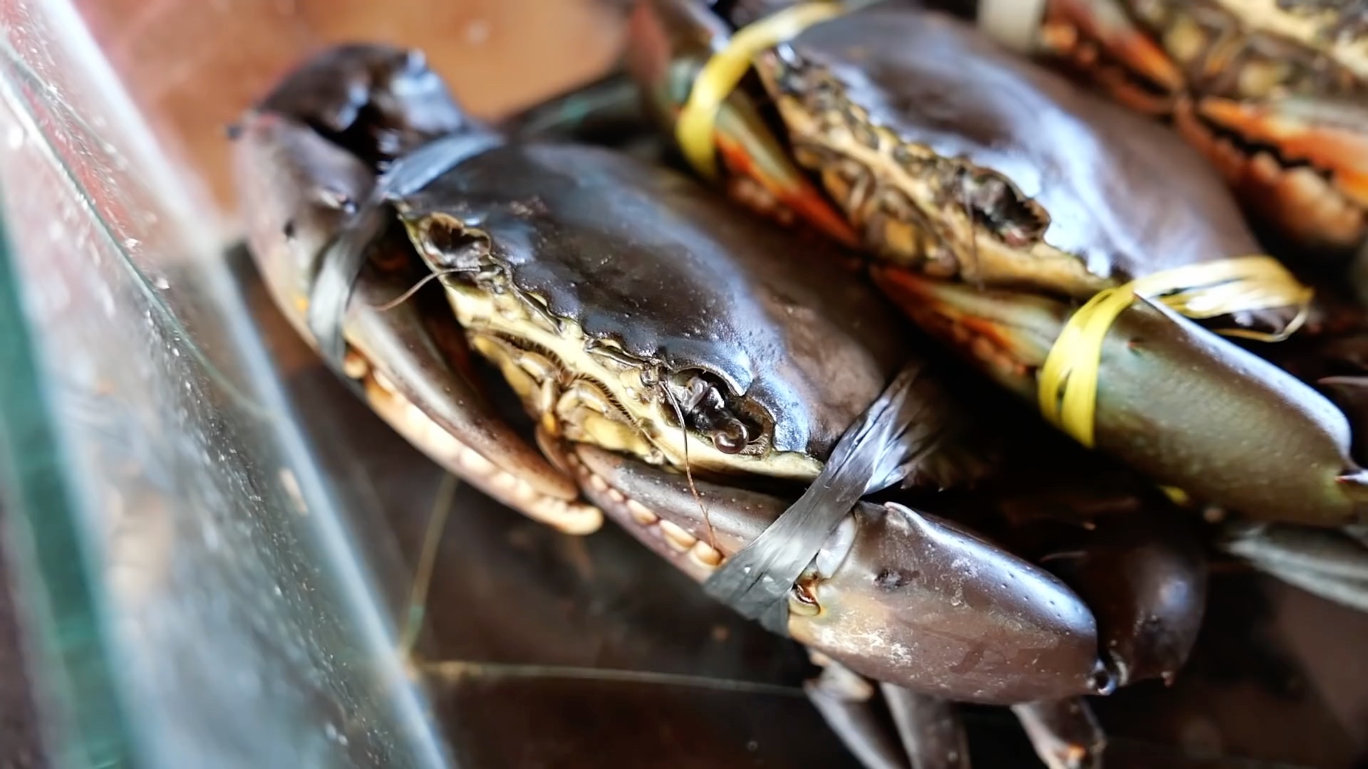 印尼路边小吃 泥蟹