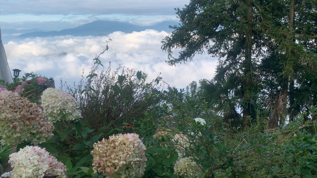 竹境云屋,一个适合安静发呆的地方,茨竹坝云海观赏处.