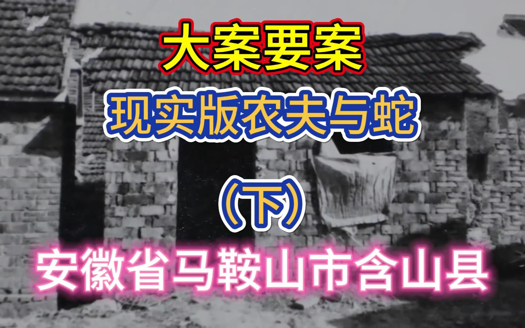 大案要案:现实版农夫与蛇(下).(安徽省马鞍山市含山县命案)哔哩哔哩bilibili