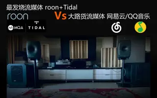 Roon 搜索结果 哔哩哔哩 Bilibili