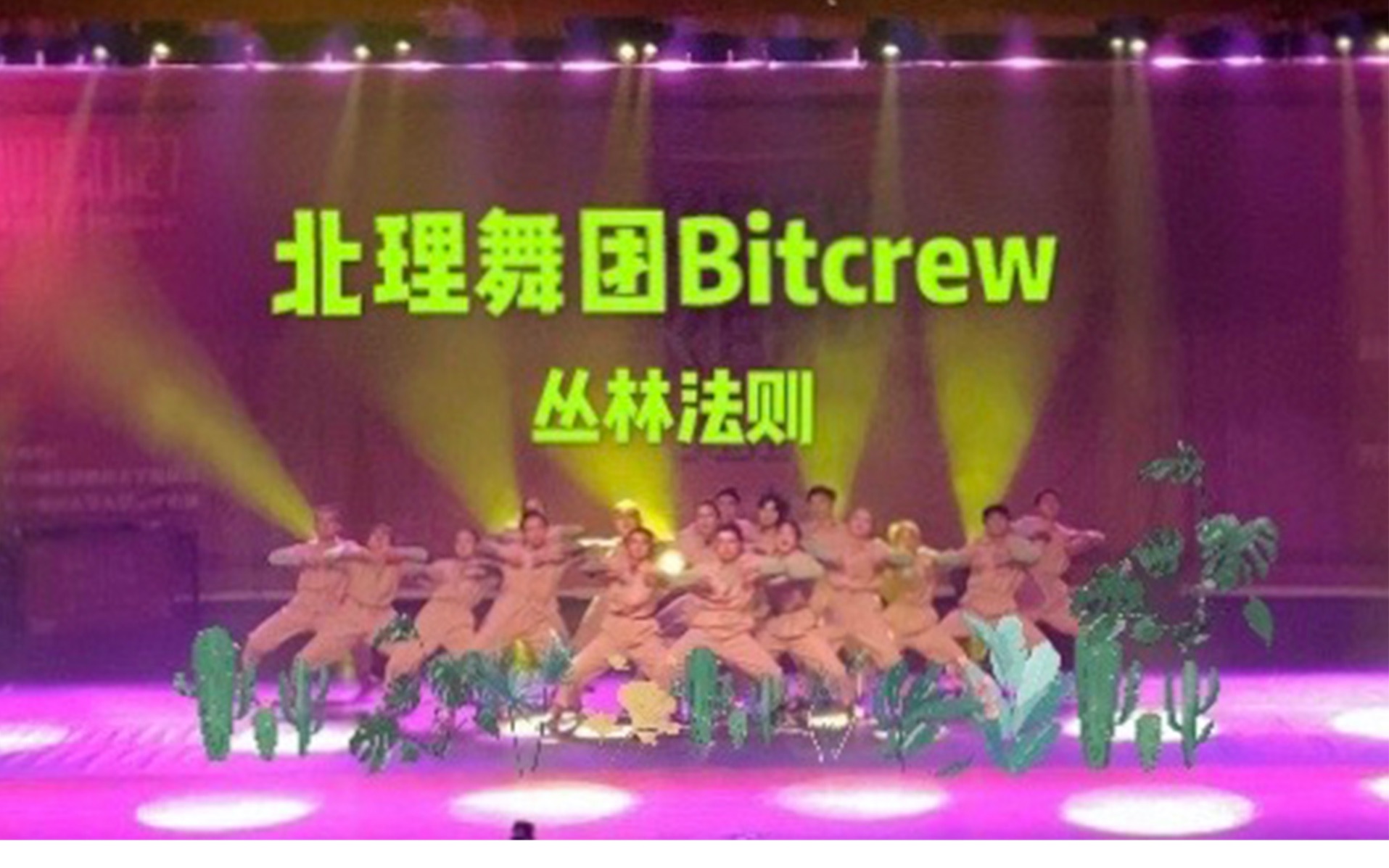 【北京理工大学Bitcrew】超帅街舞齐舞「丛林法则」| KeepKeep vol.5哔哩哔哩bilibili