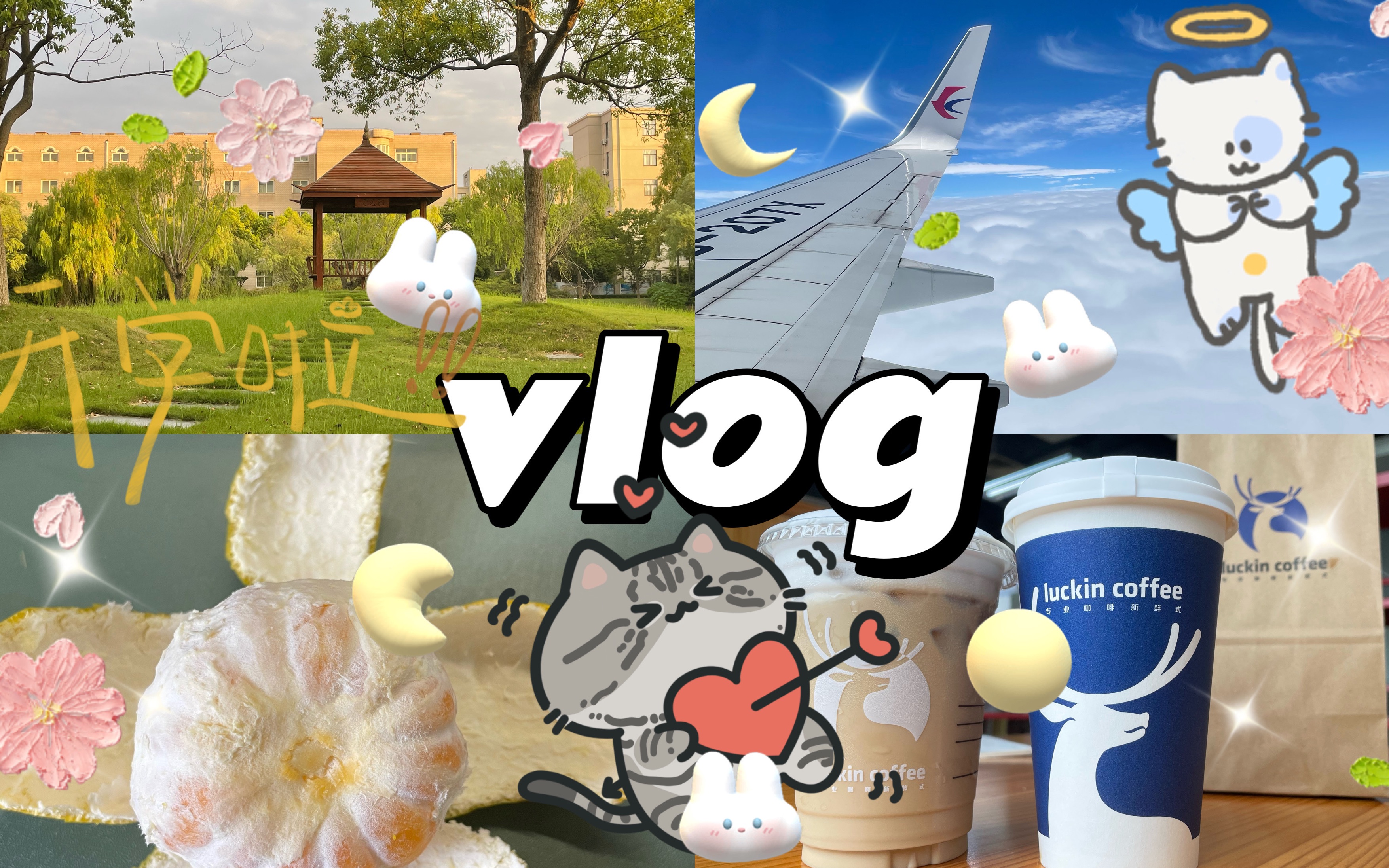 vlog | 回上海上学了|喜提第一周网课𐟘…哔哩哔哩bilibili