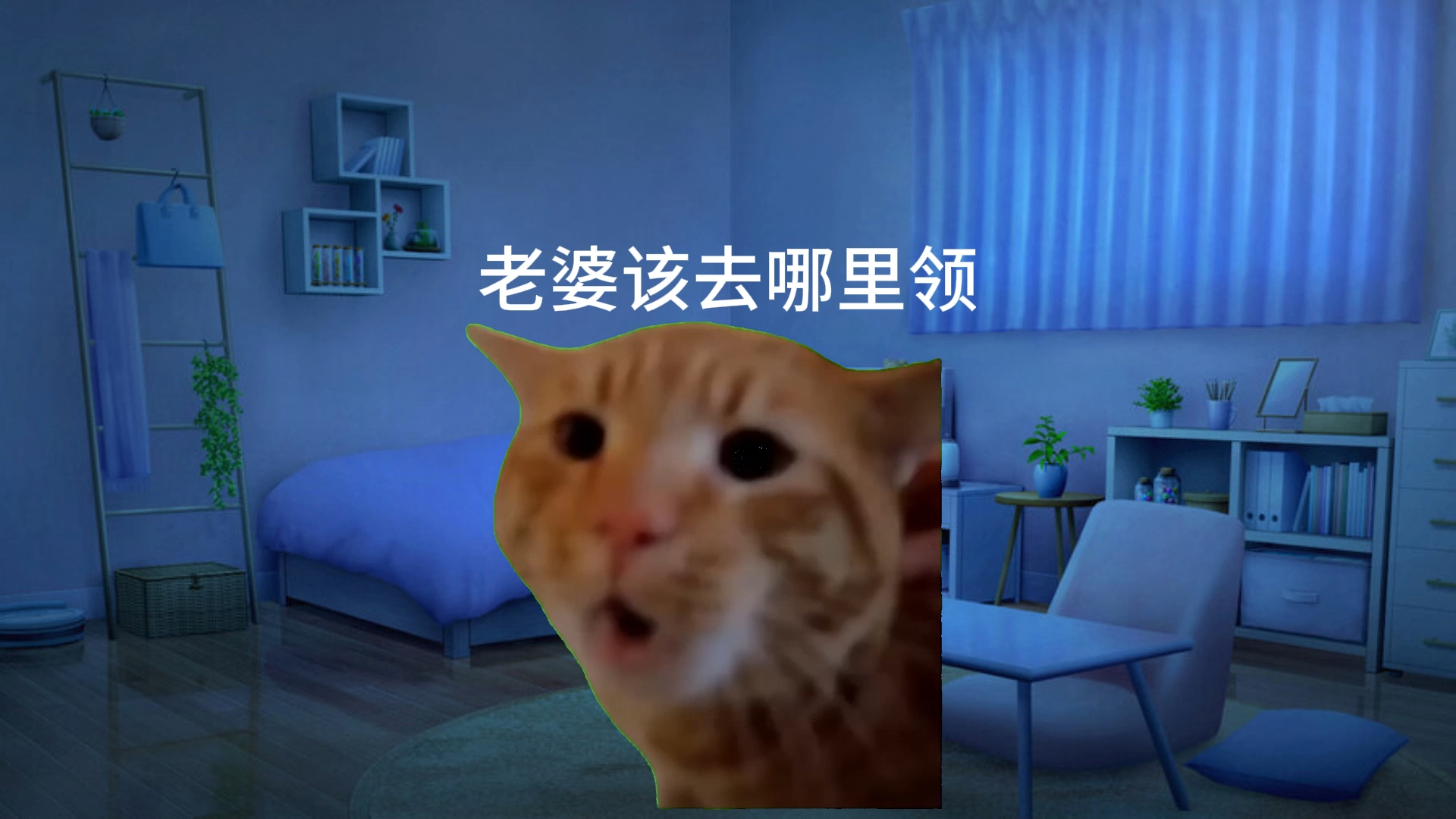 [图]【猫meme】帮忙做婚礼功课做emo了