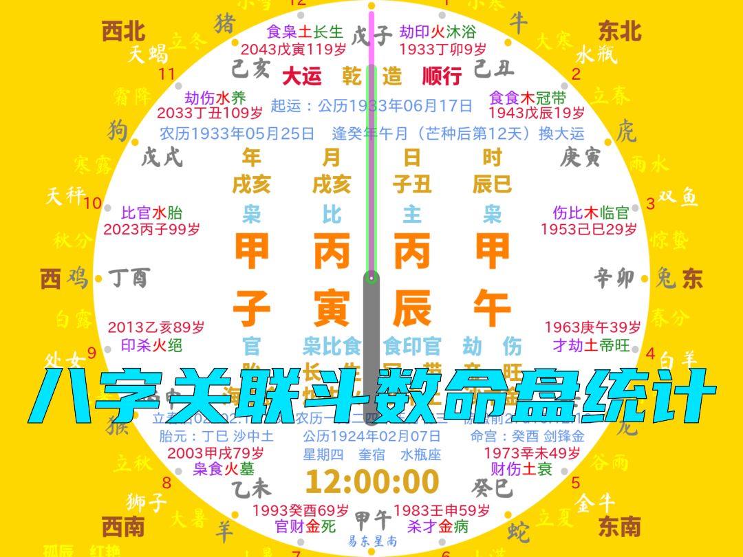 甲子年丙寅月丙辰日十二时辰八字关联斗数命盘统计(下集)哔哩哔哩bilibili