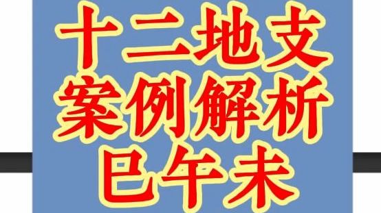 十二地支,案例解析,巳午未哔哩哔哩bilibili