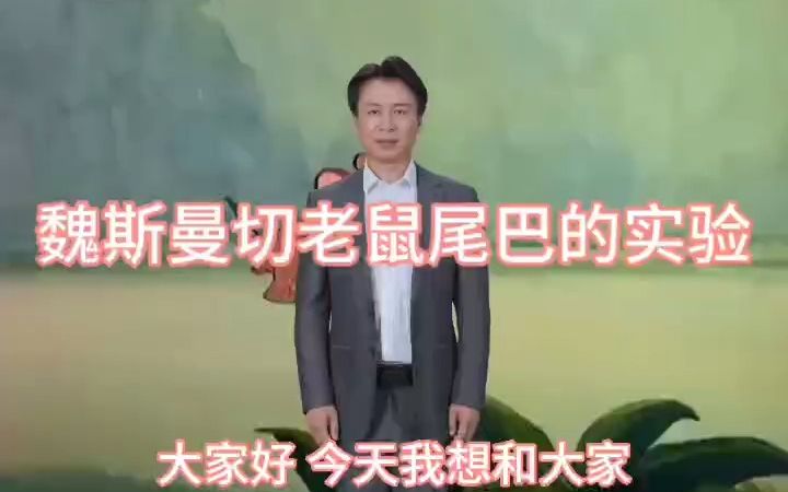 [图]魏斯曼切老鼠尾巴的实验