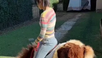 庄园女主人骑小马散步