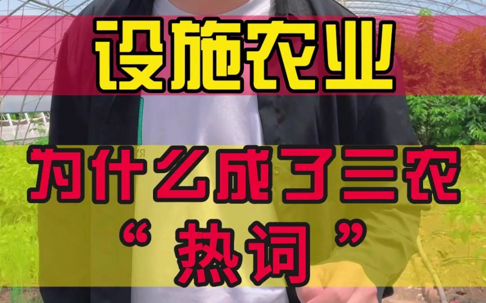 设施农业,为什么成了这两年的三农“热词”?哔哩哔哩bilibili