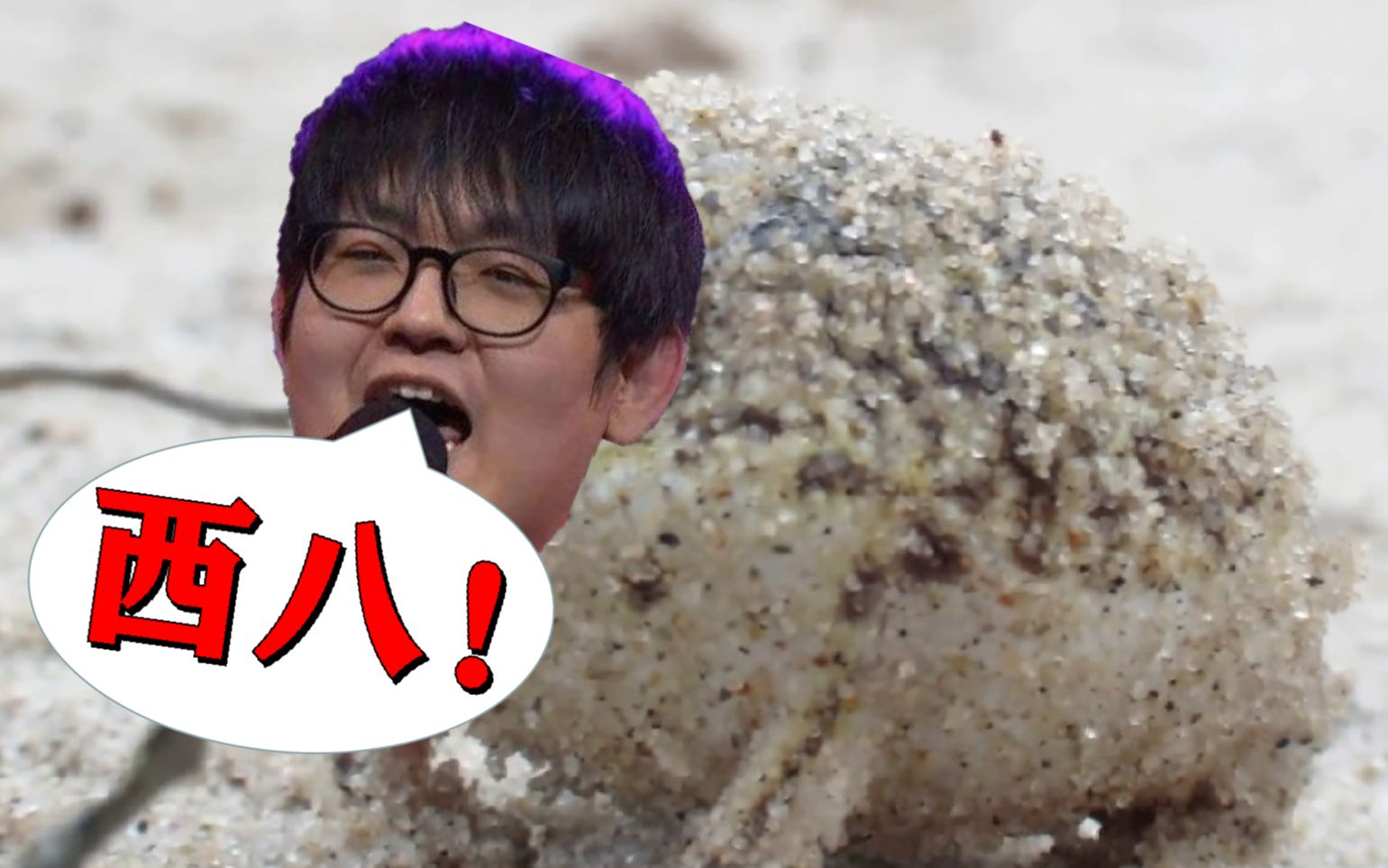 【fpx金贡】一只叫做贡子哥的西八雨蛙_哔哩哔哩 (゜-゜)つロ 干杯