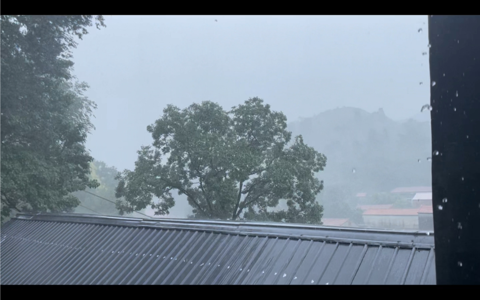 [图]【只就梧桐听雨眠】第一次在B站发视频，求关注！