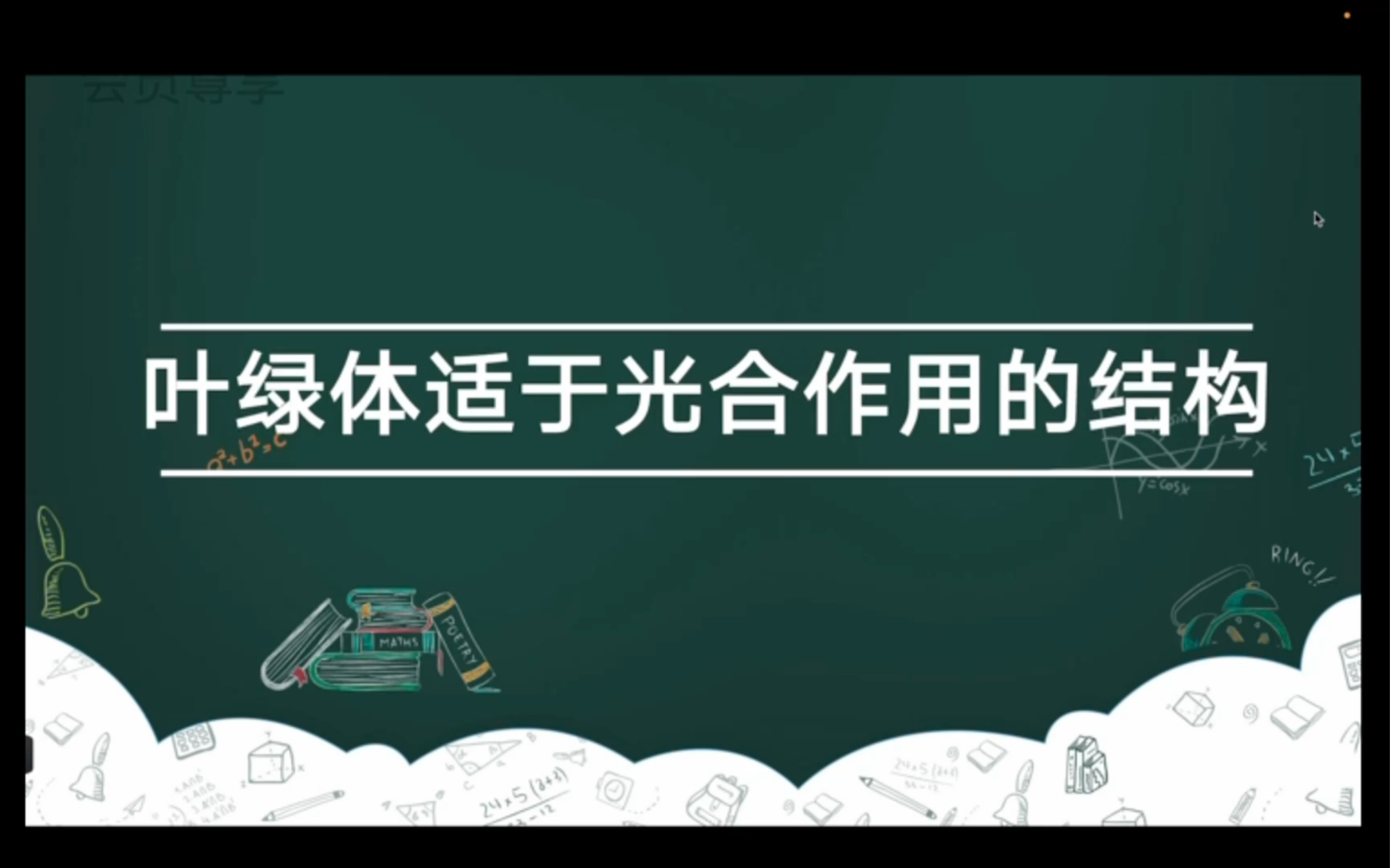 叶绿体适于光合作用的结构哔哩哔哩bilibili