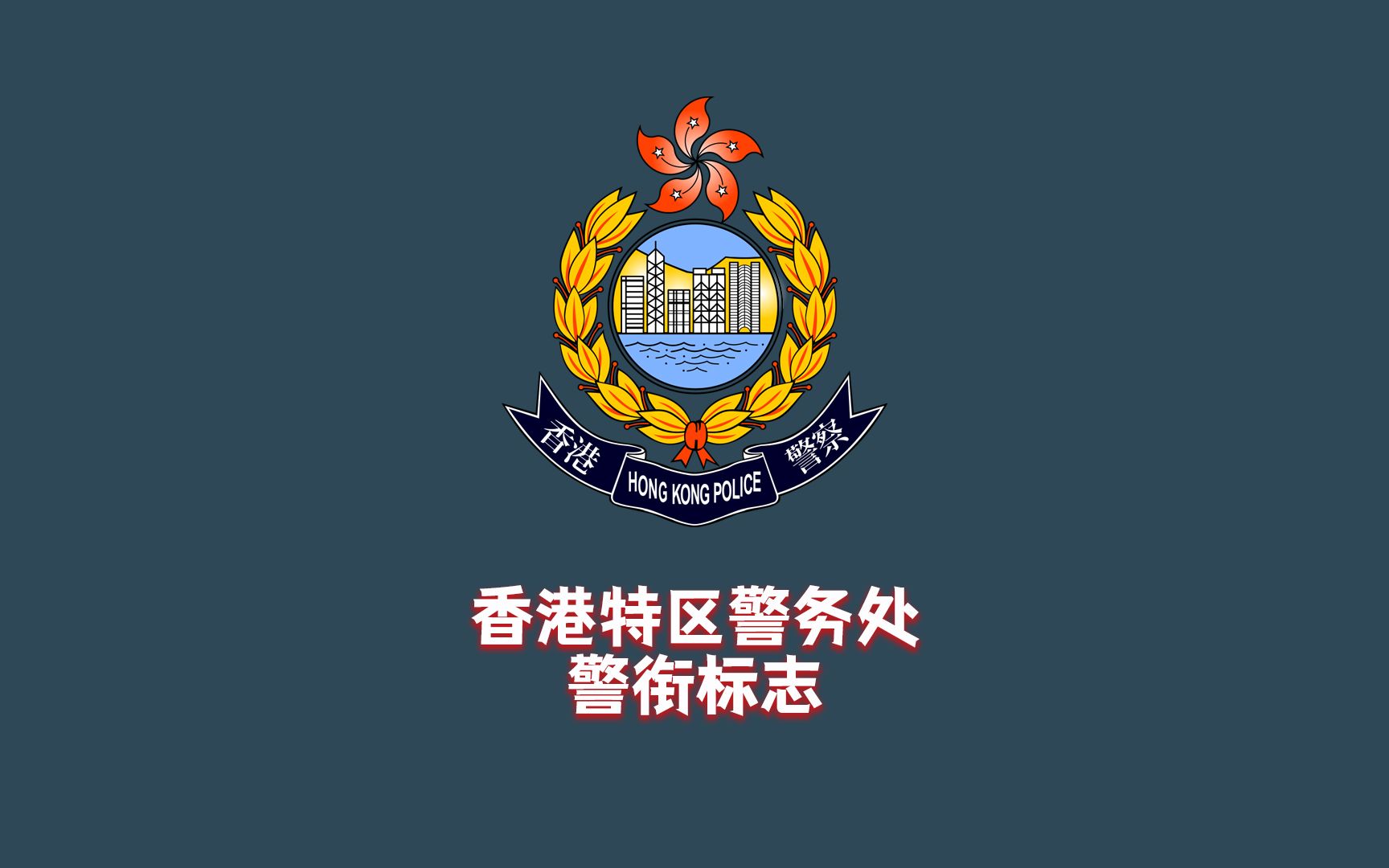 香港警察警衔等级图片