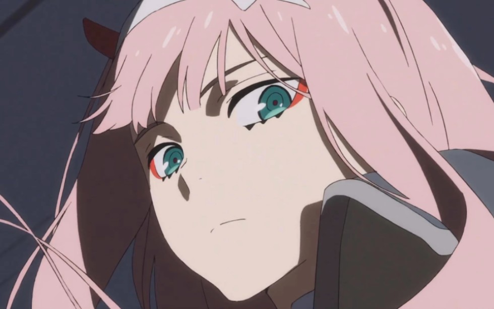 鹤望兰永不凋零,比翼鸟永世长存