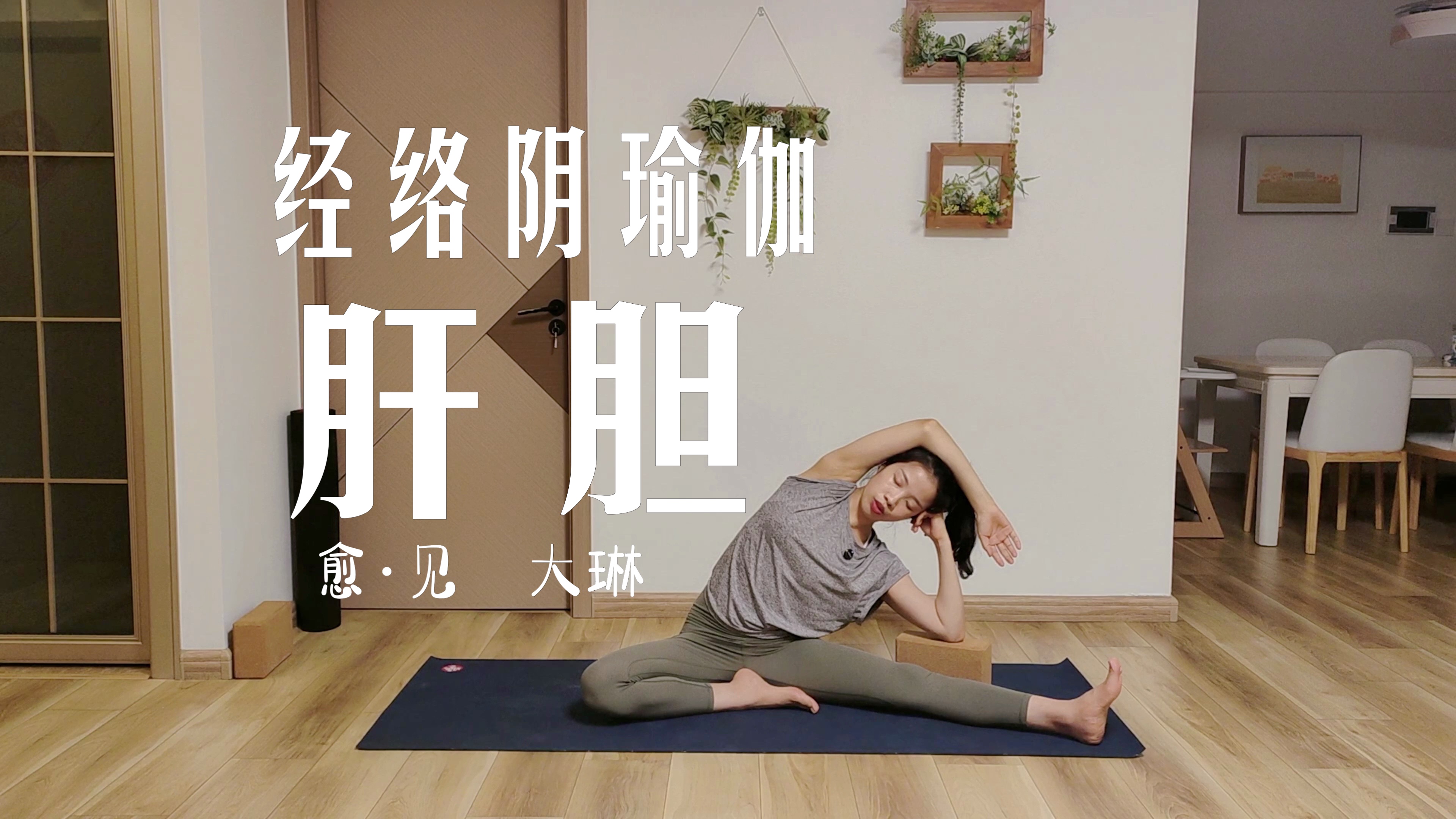 经络阴瑜伽系列一【40分钟阴瑜伽】肝胆经络养护 补气养血 初学者友好