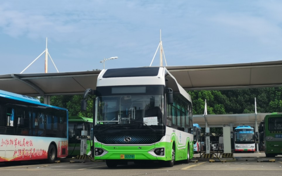 【全网首发·新车慢递】嘉善城市公交 金龙xmq6850agfcev 运行实录