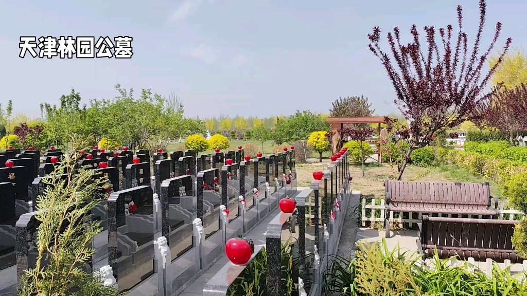 天津林园公墓怎么样