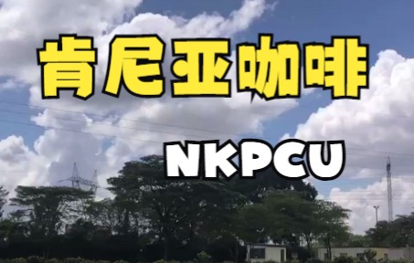 【肯尼亚咖啡】探 NKPCU 肯尼亚最好的咖啡公司哔哩哔哩bilibili