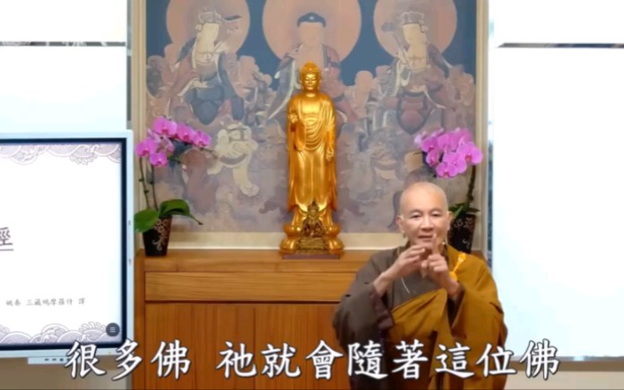 体佛法师 《维摩诘所说经》完整版12