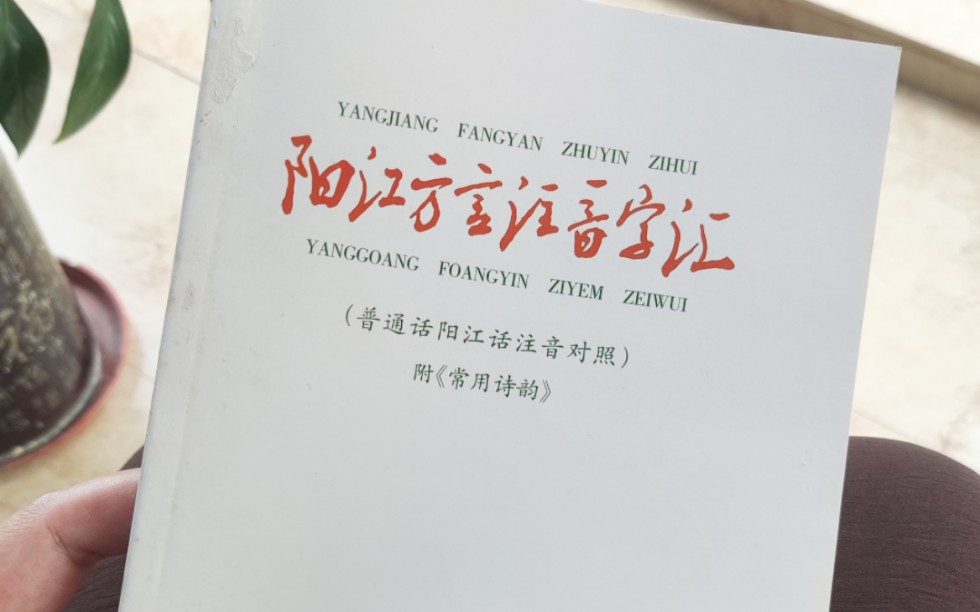 阳江方言书籍:《阳江方言注音字汇》哔哩哔哩bilibili