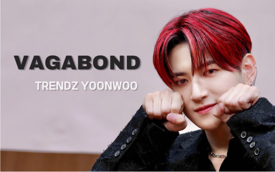 TRENDZ李忠贤YOONWOO《VAGABOND》221118 饭拍横版直拍哔哩哔哩bilibili