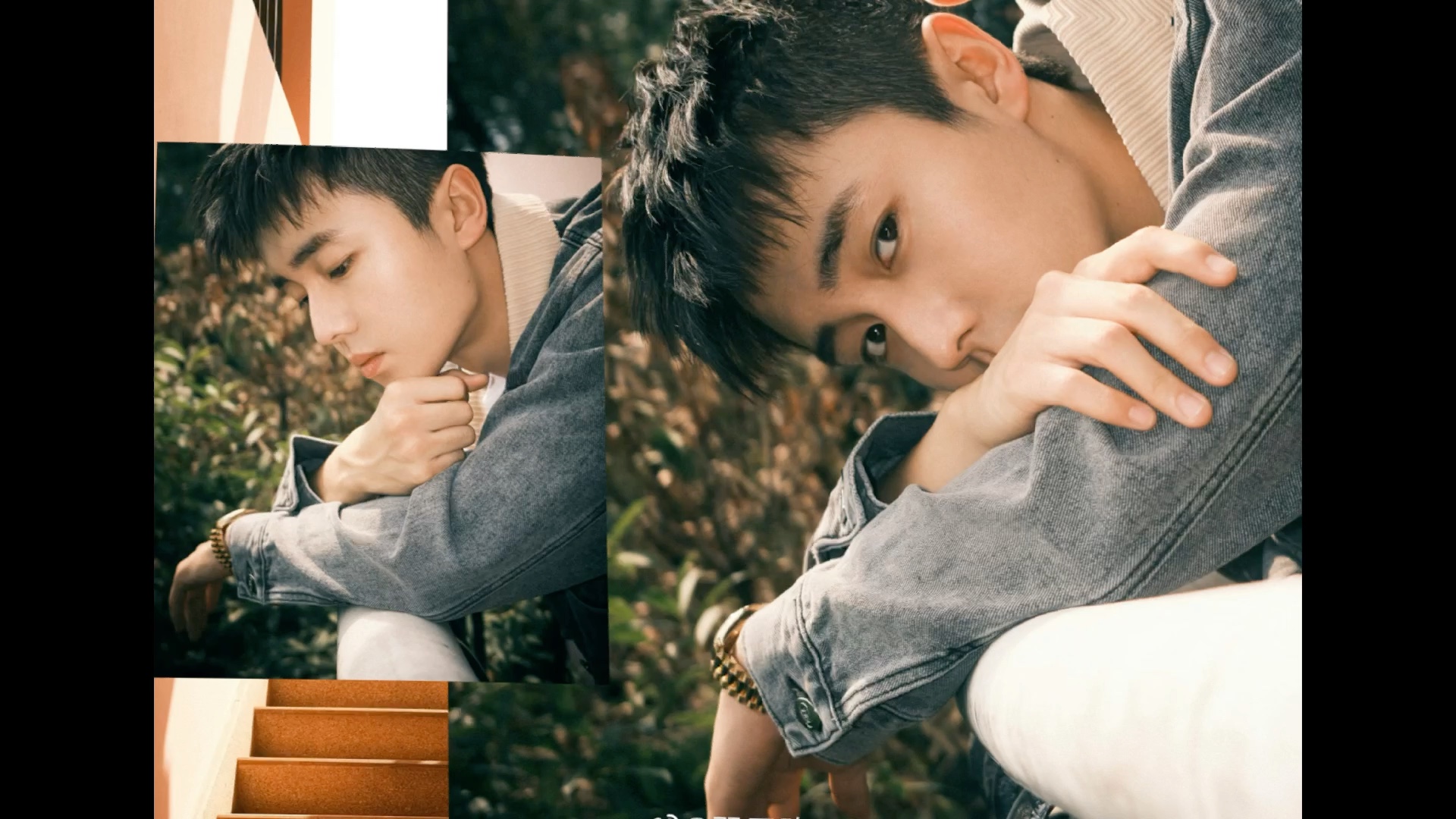 【翟子路】分享咱家修狗帅帅的照片