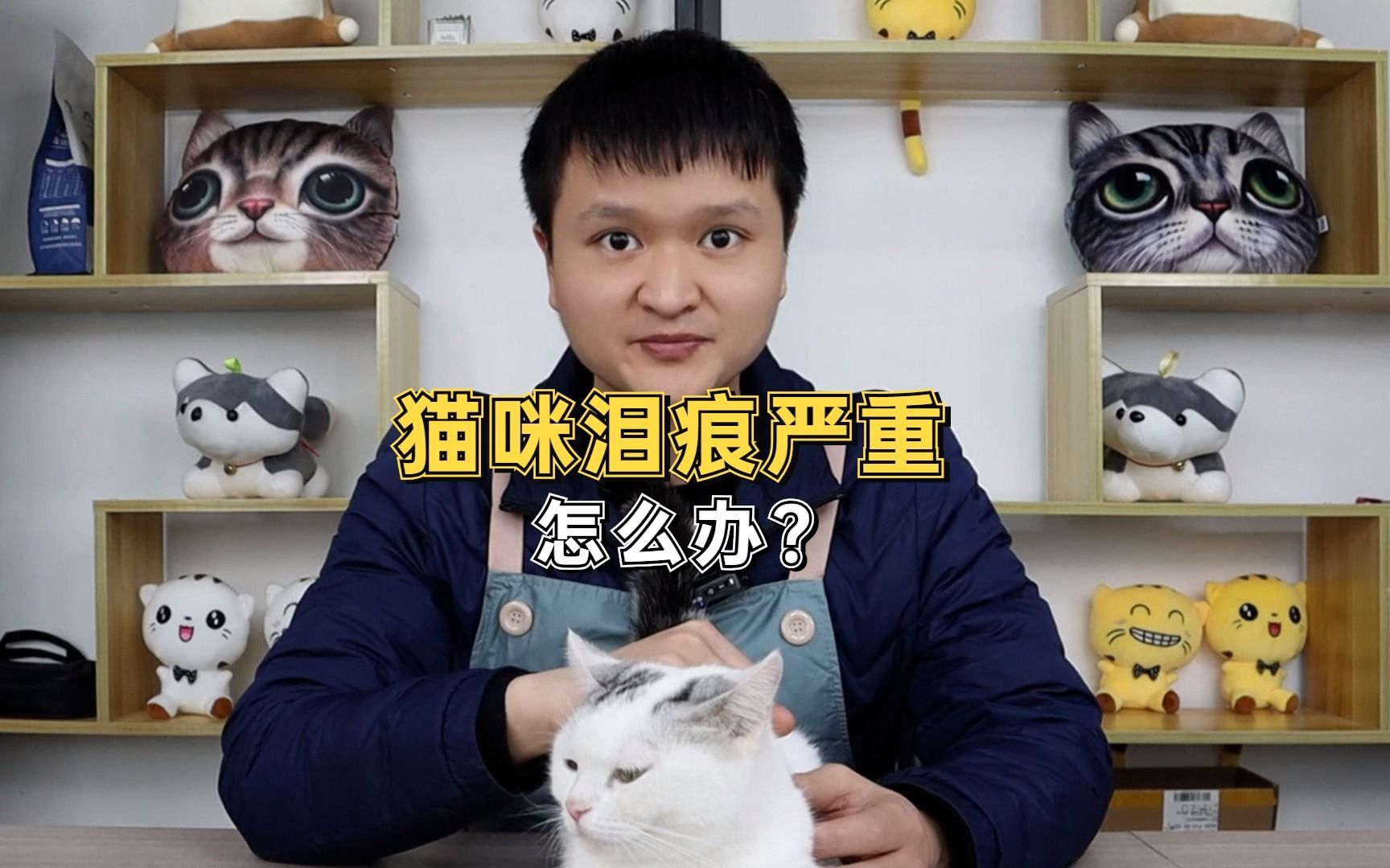 猫咪泪痕严重怎么办?哔哩哔哩bilibili