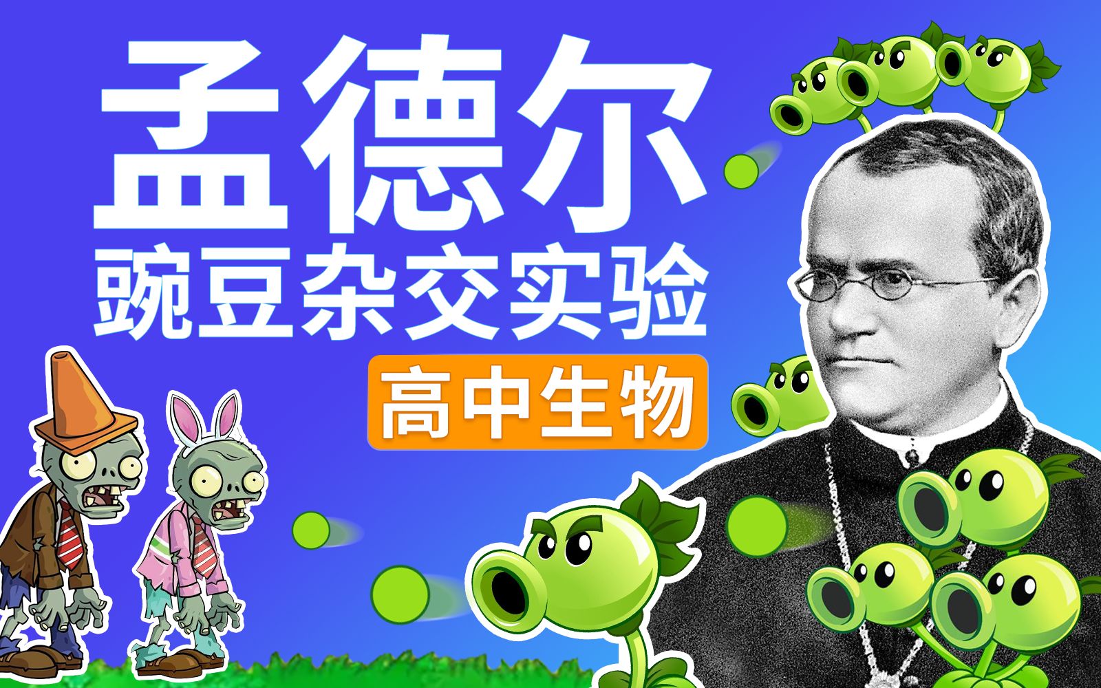 [图]【孟德尔分离定律】豌豆杂交实验（上）- 高中生物必修二