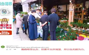 Download Video: 外国博主邂逅浙江嘉兴花鸟市场，印度网友：市场整得像童话世界？