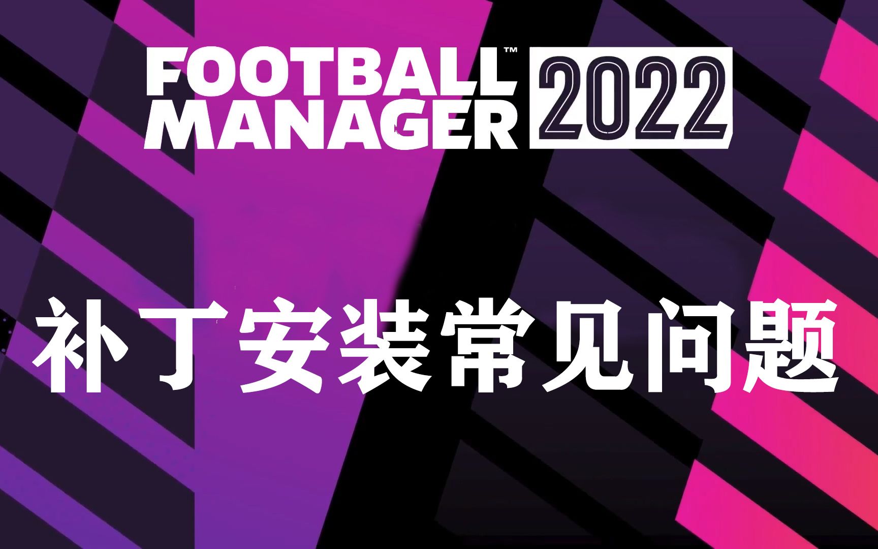 FM2023适用【FM2022】补丁安装常见问题 重点在最后