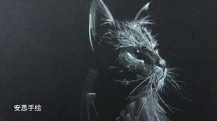 粉笔画 画一只蹭吃蹭喝的狸花猫 哔哩哔哩 つロ干杯 Bilibili