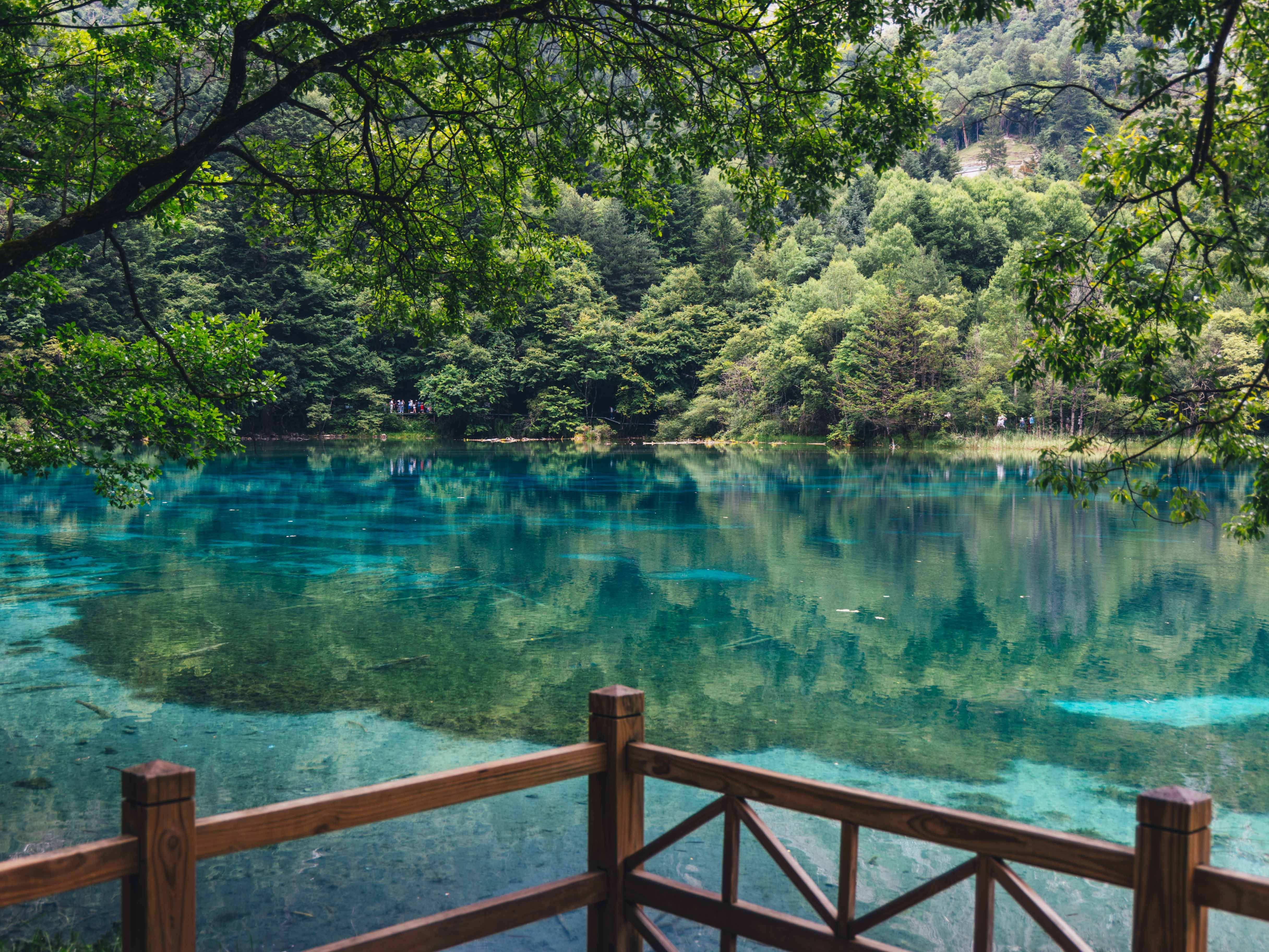 vlog12,九寨沟大电影