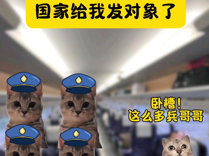 国家给我分配对象了