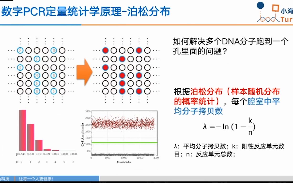 数字PCR技术生命科学和分子诊断工作者不可或缺的基础工具哔哩哔哩bilibili