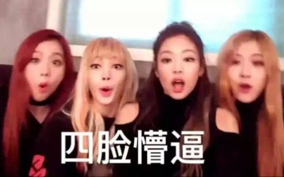 【BLACKPINK】blackpink表情包小合集啦啦啦哔哩哔哩bilibili