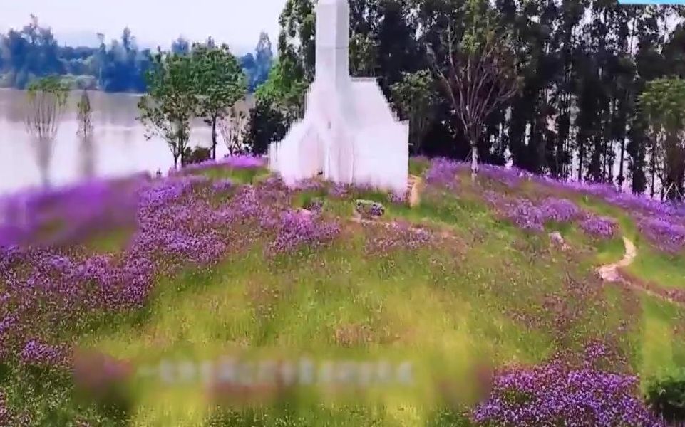 [图]百里芳华百花绽放 市民回归乡村打卡