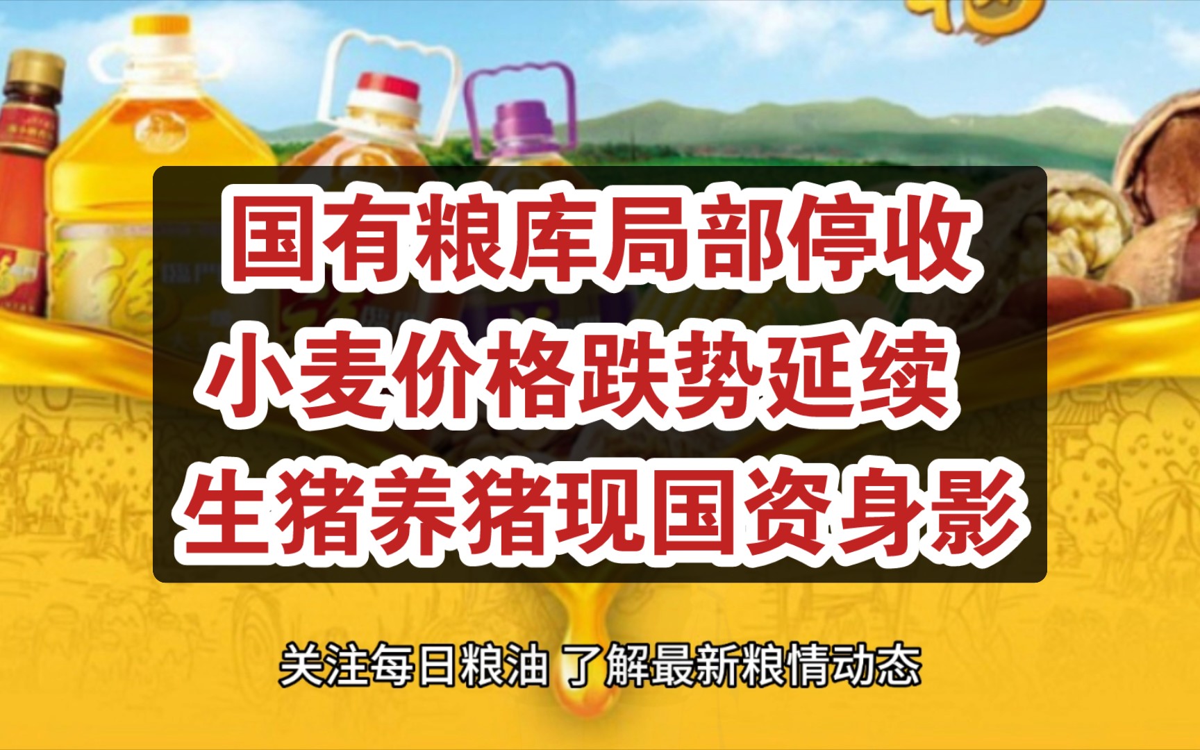 国有粮库局部停收小麦价格跌势延续 玉米涨价国有资本进军养殖业哔哩哔哩bilibili