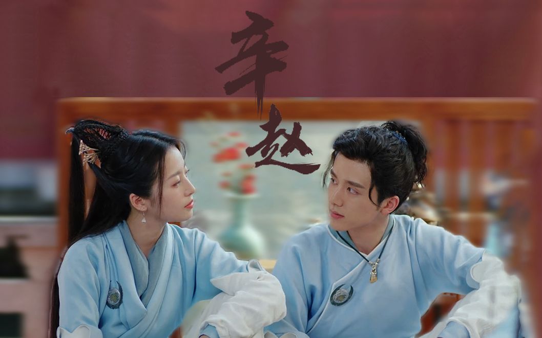 【辛赵不宣】愿 如你所愿