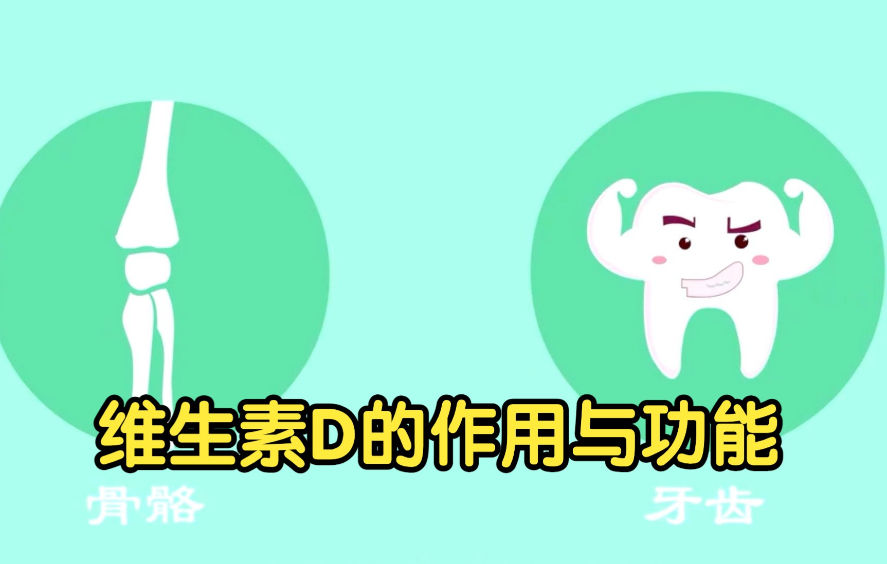 维生素D的作用与功能哔哩哔哩bilibili